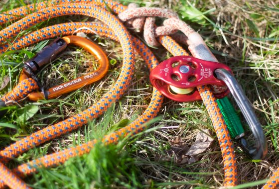 Baumpflege & Baumfällung im Wald-Michelbach
