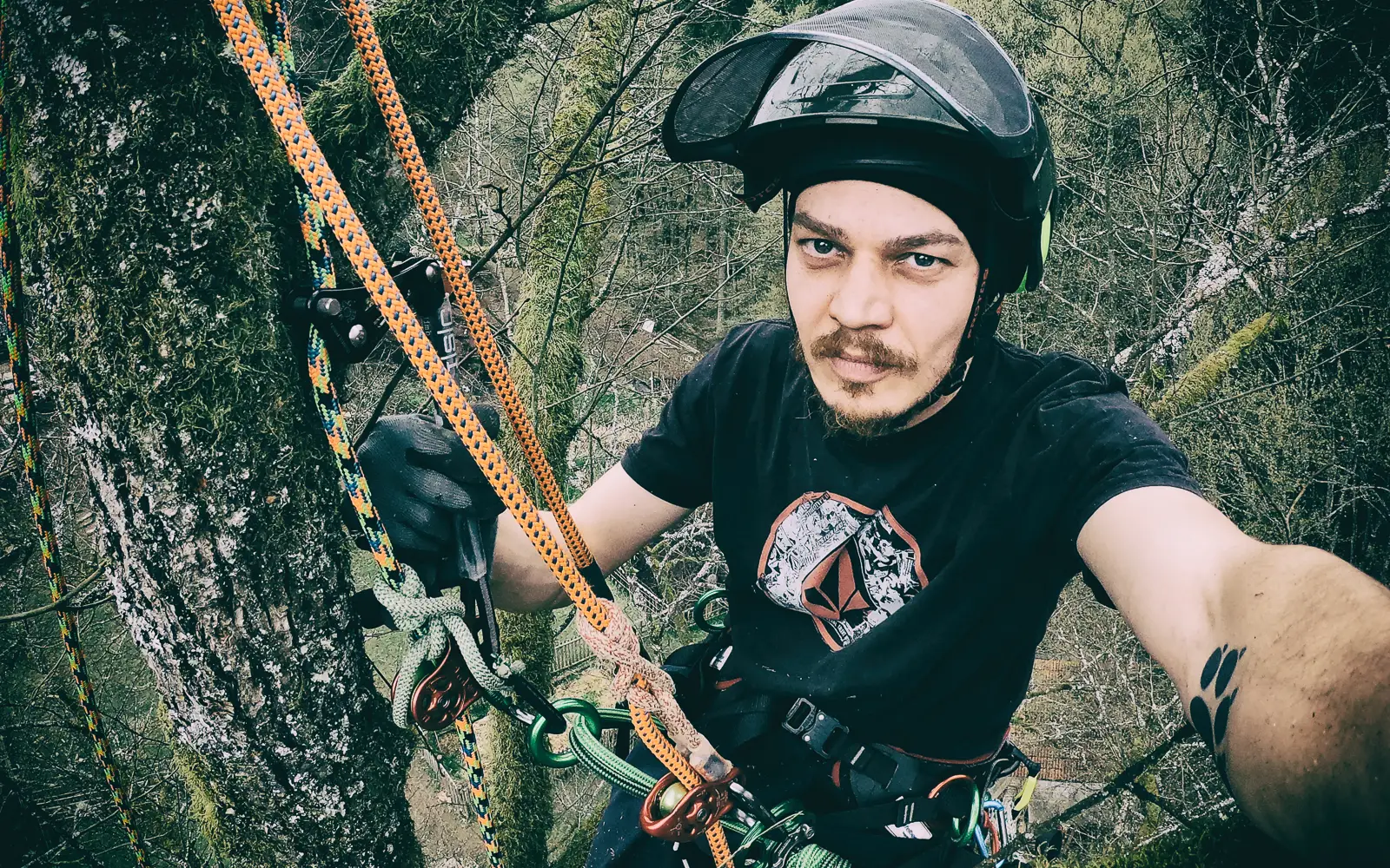 Baumkletterer mit Helm und Visier im Seil am Baumstamm