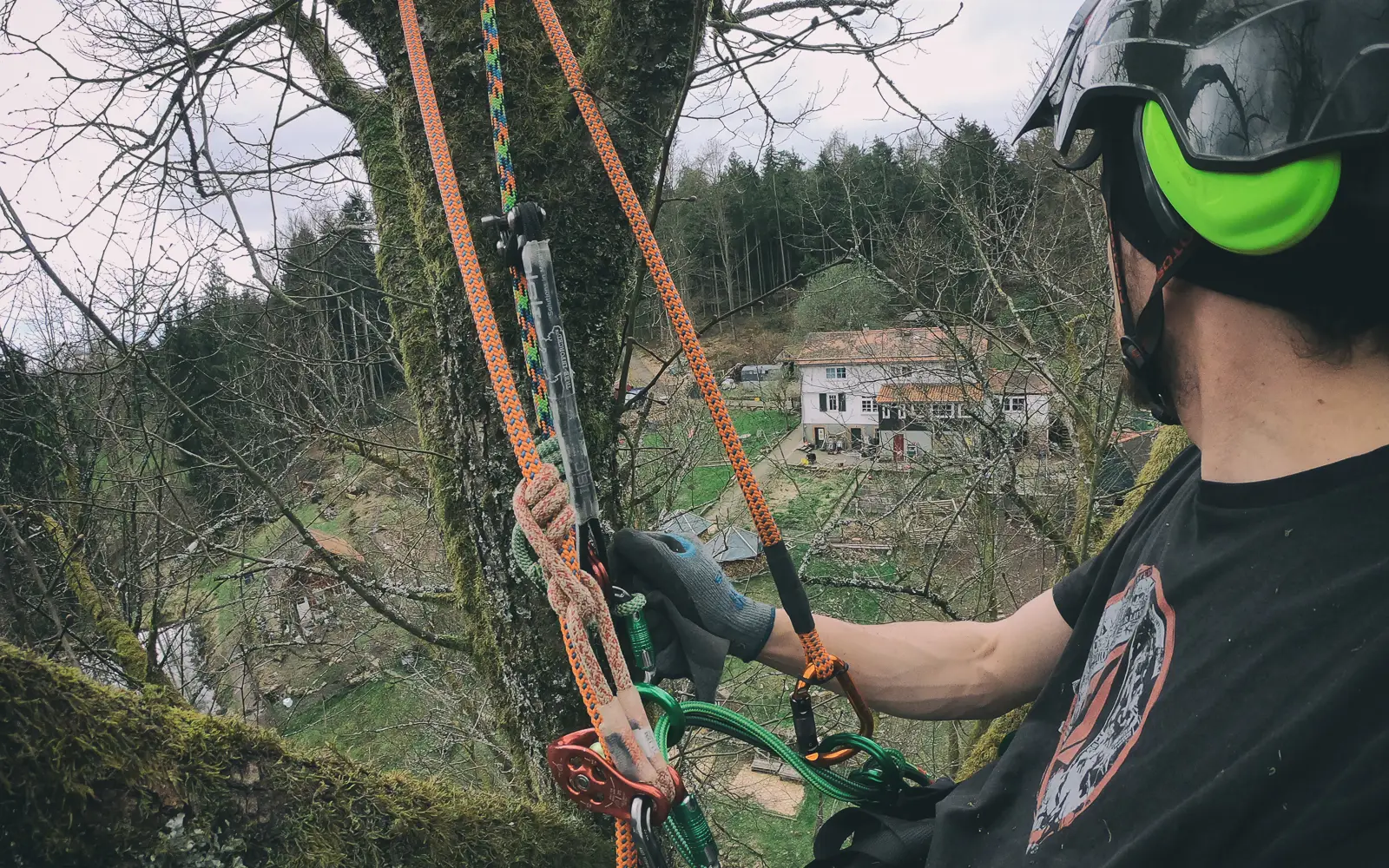 Baumkletterer mit Helm und Kletterseil in einer Baumkrone, unten Häuser im Odenwald-Tal