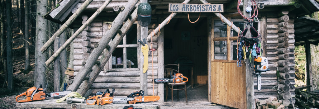 Los Arboristas- Baumfällung