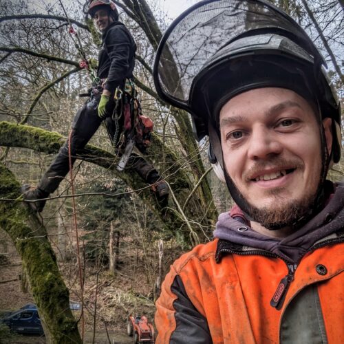 Arboristas Treeservice - Baumfällung mit Baumkletterer im Odenwald