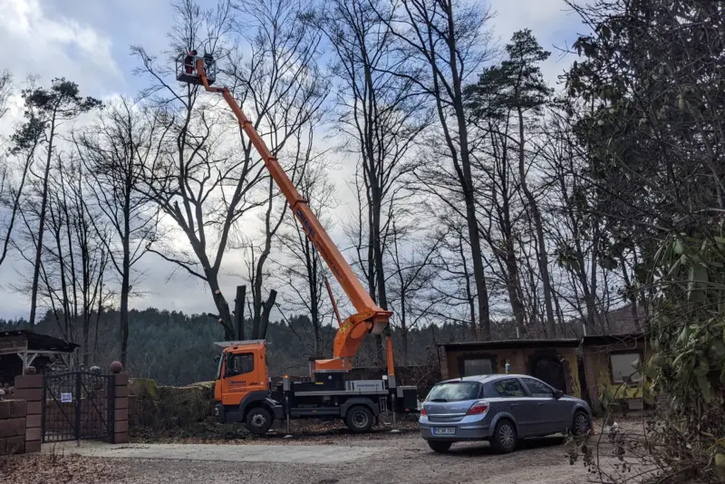 Buche mit dem Hubsteiger abgetragen – Grasellenbach