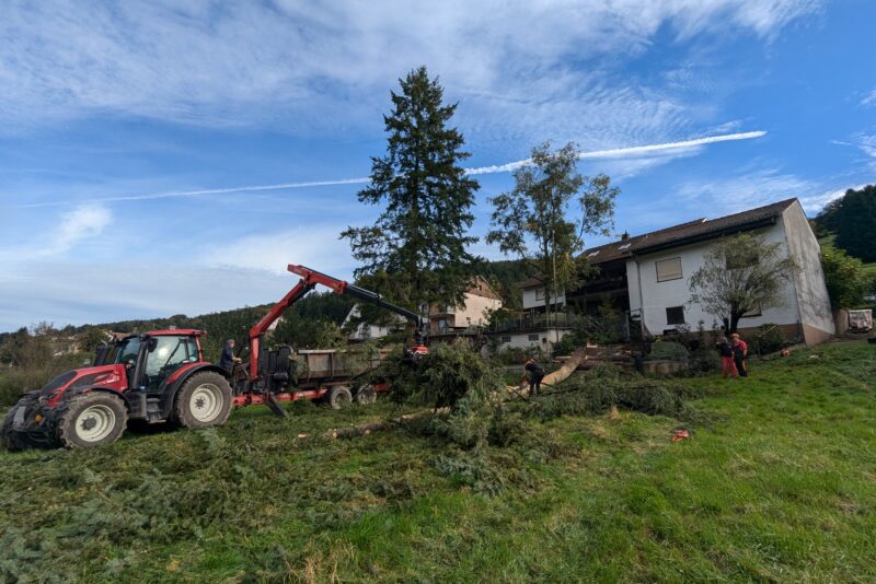 Douglasien am Wohnhaus gefällt – Finkenbach