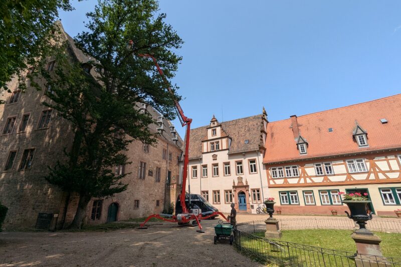 Baumpflege am Schloss – Erbach