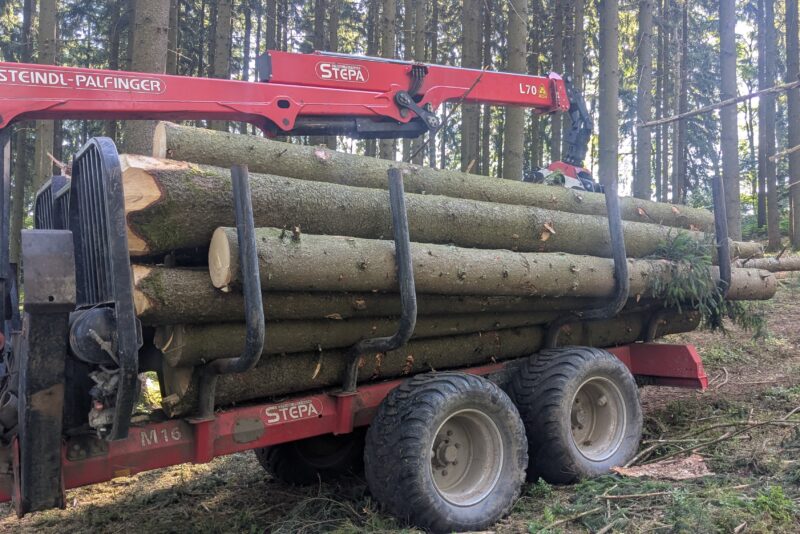Käferfichten abtransportiert – Beerfelden